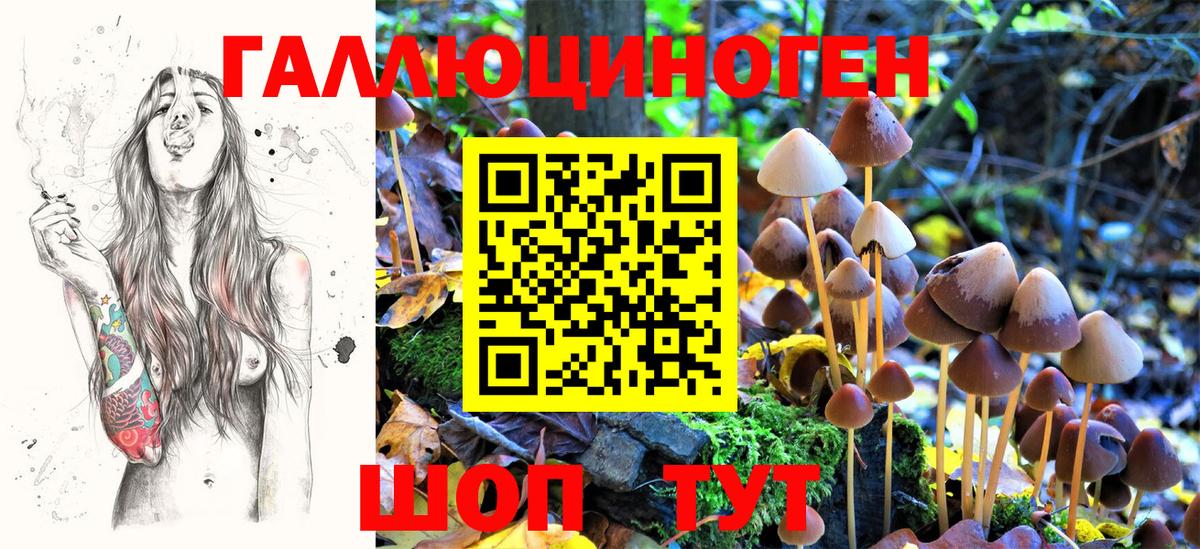 Феодосия  Псилоцибиновые грибы мухоморы  Вход с VPN 