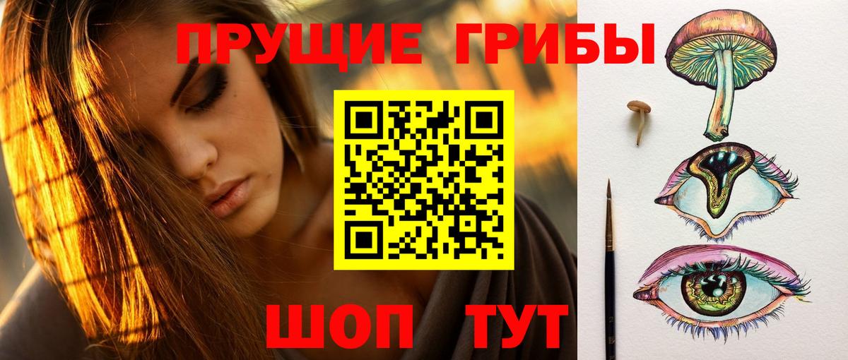 Галлюциногенные грибы Psilocybine cubensis Феодосия